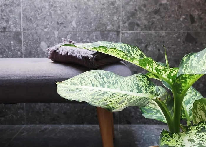 Гостевой дом Picobello