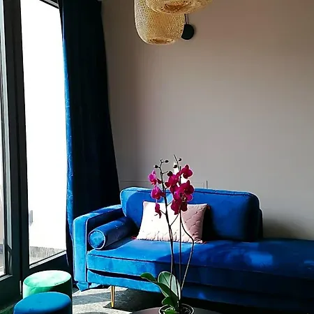 Picobello 3*